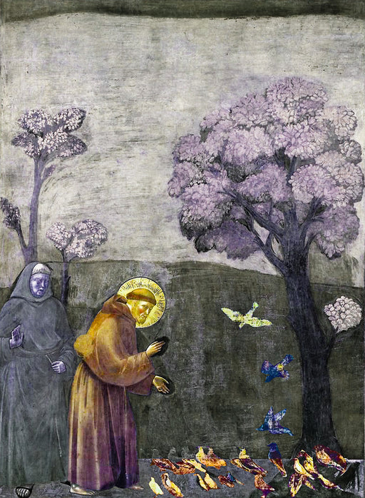 Giotto - San Francesco predica agli uccelli - Stampa in versione moderna 4.0
