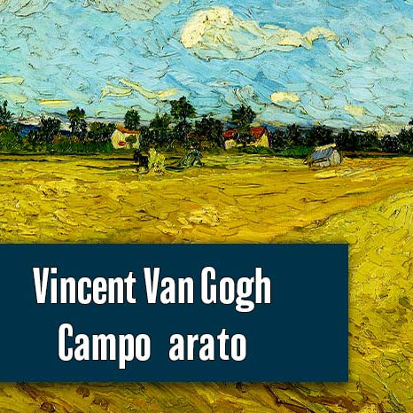 Vincent Van Gogh - Campo arato