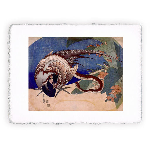 Stampa Pitteikon di Katsushika Hokusai - Fagiano e vipera del 1833
