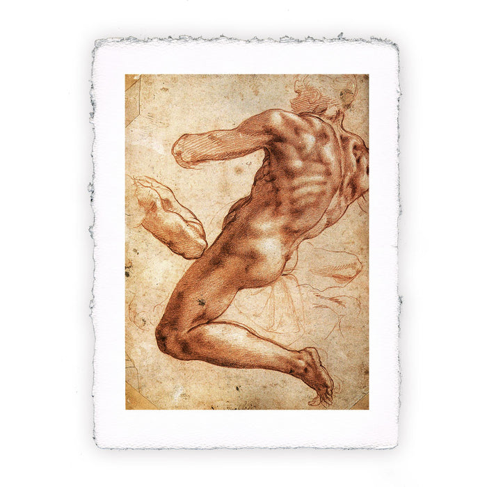 Stampa di Michelangelo - Studio di corpo nudo - 1508