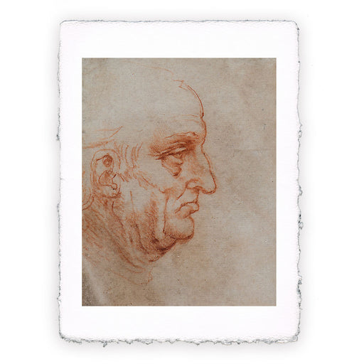 Stampa di Leonardo da Vinci - Uomo a mezzo busto di profilo rivolto verso destra (recto) - 1510-1511