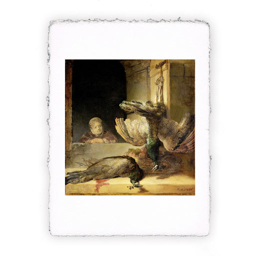 Stampa di Rembrandt - Pavoni morti - 1636
