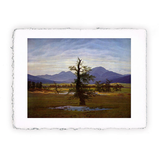 Caspar David Friedrich - L'albero solitario - 1822
