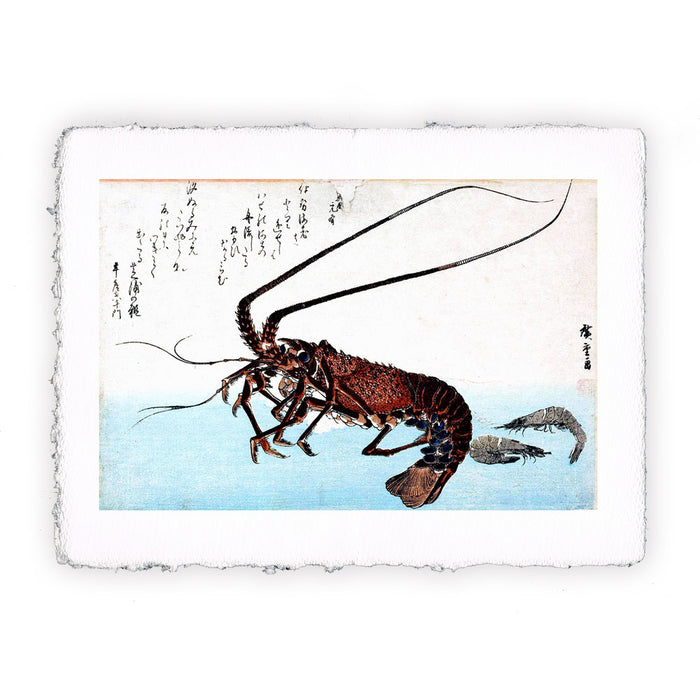 Stampa di Utogawa Hiroshige - Aragosta e due gamberetti - 1832