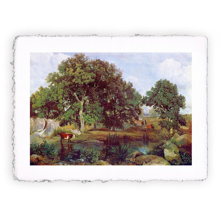 Stampa di Camille Corot - La foresta di Fontainebleau - 1846