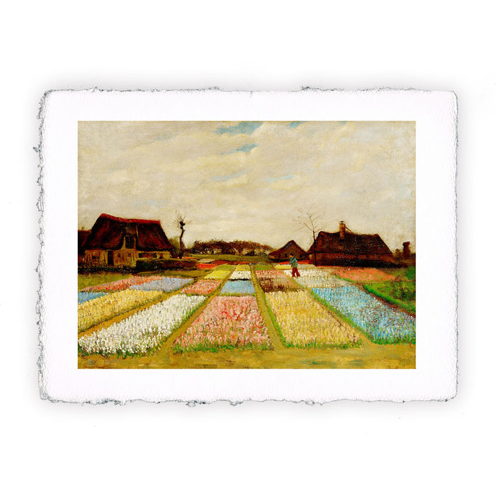 Stampa Pitteikon di Vincent van Gogh Campi di tulipani