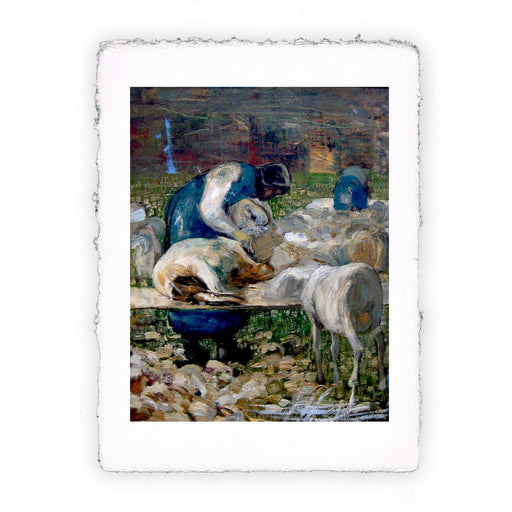 Stampa di Giovanni Segantini - La tosatura delle pecore - 1886