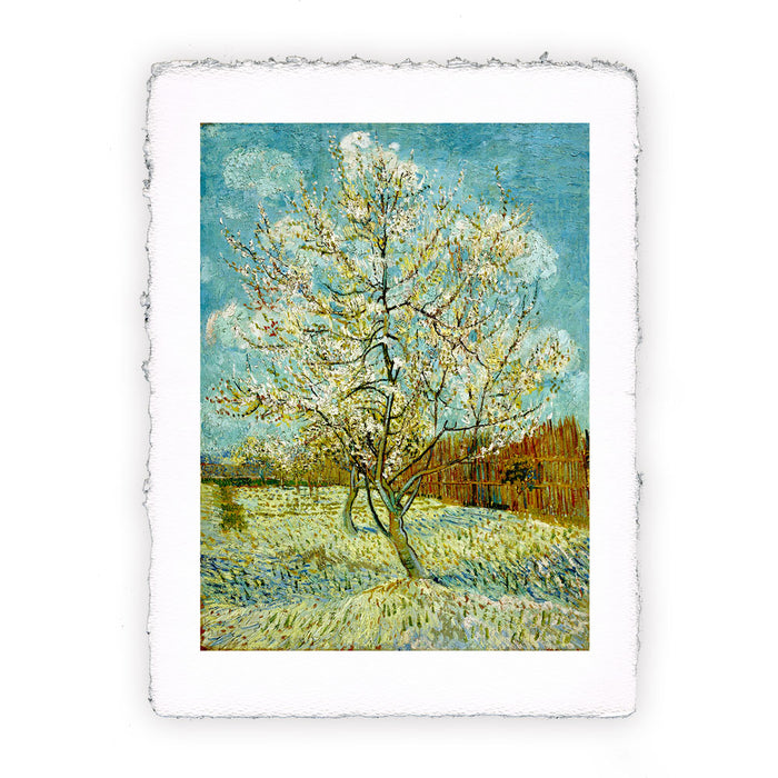 Stampa Pitteikon di Vincent van Gogh - Pesco in fiore - 1888