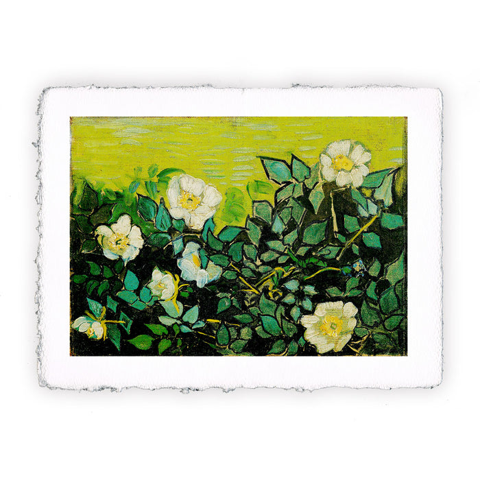 Stampa di Vincent van Gogh - Rose selvatiche - 1890