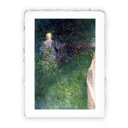 Stampa di Carl Larsson - Nella siepe di biancospino - 1897