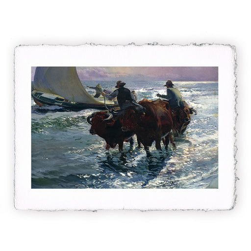 Stampa di Joaquín Sorolla - Tori in mare - 1903
