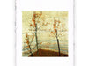Stampa di Egon Schiele - Alberi autunnali - 1911