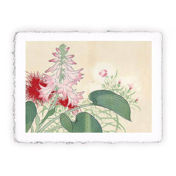 Print of Tomioka Tessai - Summer flowers XII - 1907