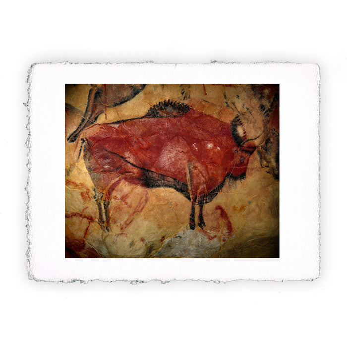 Stampa di arte paleolitica- Pittura di bisonte ad Altamira II