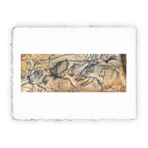 Stampa di arte paleolitica - Pittura rupestre di leonesse