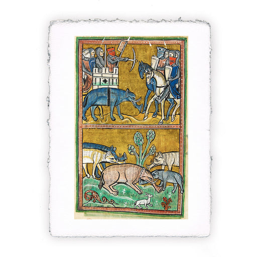 Stampa di Bestiario inglese - British Library - Elefanti - Royal 12 F xiii f11v