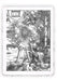 Stampa di Dürer: Apocalisse - 09 - San Giovanni divora il libro