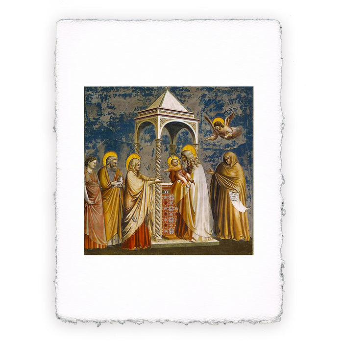 Stampa di Giotto - 14 - Presentazione di Gesù al Tempio - Cappella degli Scrovegni