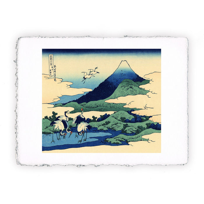 Stampa di Katsushika Hokusai - Umegawa nella provincia di Sagami