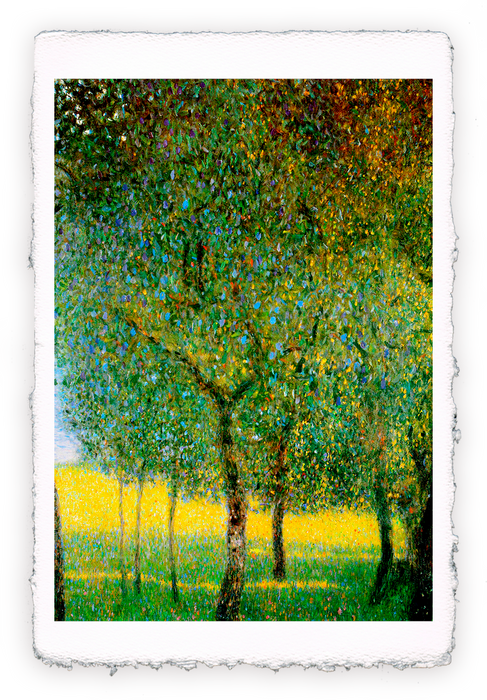 "I giardini" di Klimt - Cofanetto regalo di 6 stampe d'arte Miniartprint