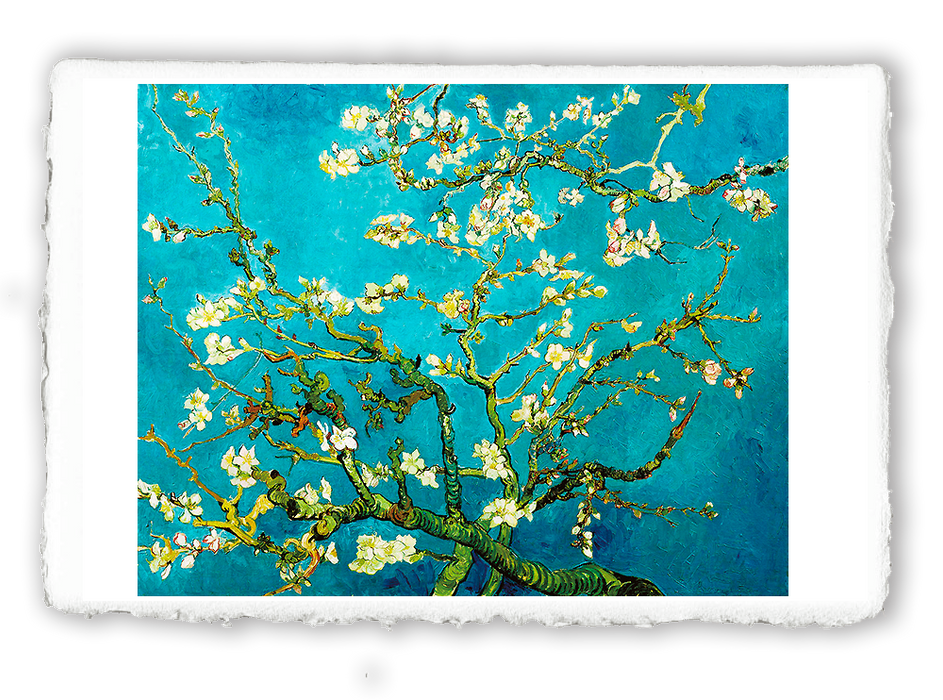 "I fiori" di Van Gogh - Cofanetto regalo di 6 stampe Miniartprint