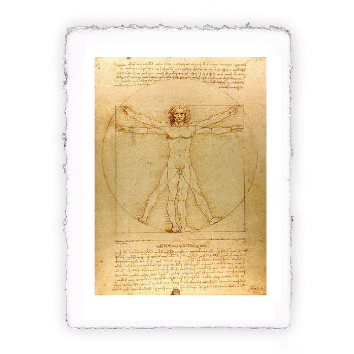 Stampa di Leonardo da Vinci - Uomo Vitruviano - 1490